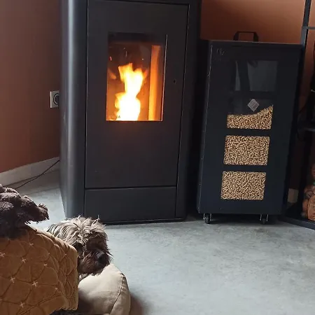 Bubbles And Granules - Single-storey House - Swimming Pool