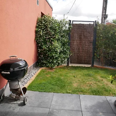 Bubbles And Granules - Single-storey House - Swimming Pool *