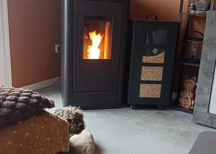 Bubbles And Granules - Single-storey House - Swimming Pool